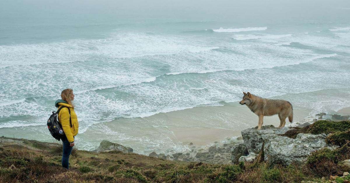 12_daszimmerderwunder_0