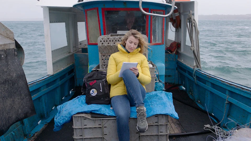 12_daszimmerderwunder_1